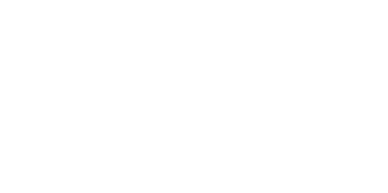 Bundesverband Digitales Bauwesen